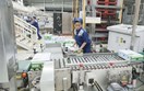 Nâng tầm thương hiệu, gia tăng giá trị Việt