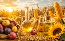 Diễn biến giá nông sản thế giới hôm nay 17/6/2026