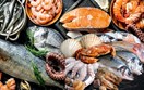 Thị trường nhập khẩu thủy sản của Việt Nam: Tín hiệu phục hồi mạnh mẽ từ cuối quý II/2026