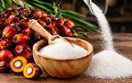 Diễn biến giá nông sản thế giới hôm nay 29/10/2026