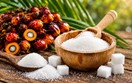 Diễn biến giá nông sản thế giới hôm nay 30/10/2026
