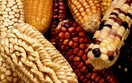 Bảng giá nông sản thế giới hôm nay 9/7/2025