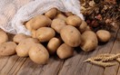 Diễn biến giá nông sản thế giới hôm nay 22/5/2026