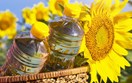 Diễn biến giá nông sản thế giới hôm nay 10/9/2026