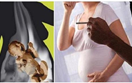 Khói thuốc lá gây ảnh hưởng như thế nào đến sự phát triển của thai nhi?