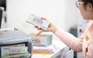 Quy định mới về tổ chức và hoạt động của Ngân hàng Phát triển Việt Nam