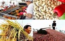 Chủ động triển khai các biện pháp bảo đảm sản xuất, chế biến, tiêu thụ và xuất khẩu nông sản
