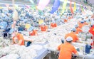 Doanh nghiệp ngóng thông tin về đàm phán thuế đối ứng 