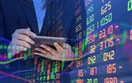 Nửa cuối năm 2026: Thị trường bước vào cuộc chơi chọn lọc cơ hội