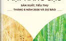THÔNG TIN MẶT HÀNG GẠO – SẢN XUẤT, TIÊU THỤ THÁNG 06 NĂM 2026 VÀ DỰ BÁO
