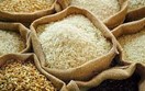 Bảng tổng hợp giá lúa gạo ngày 24/7/2026 (ĐBSCL & xuất khẩu)