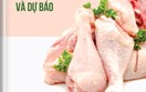 THÔNG TIN THỊ TRƯỜNG THỊT GÀ THÁNG 6 NĂM 2026 VÀ DỰ BÁO