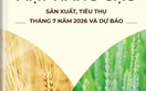 Thông tin mặt hàng gạo - sản xuất, tiêu thụ tháng 7 năm 2026 và dự báo