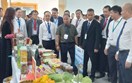 Chuyển đổi số và thương mại xanh nâng tầm liên kết giao thương miền Bắc