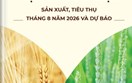 Thông tin mặt hàng gạo - sản xuất, tiêu thụ tháng 8 năm 2026 và dự báo