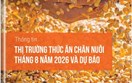 Thông tin thị trường thức ăn chăn nuôi và nguyên liệu trong nước và thế giới tháng 8 năm 2026 và dự báo
