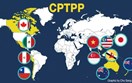 Tận dụng CPTPP để xuất khẩu sang các nước khu vực châu Mỹ