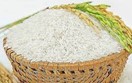 Một doanh nghiệp Mỹ muốn tìm mua gạo hạt trung và hạt dài như gạo Japonica và gạo nấu sushi