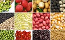 Danh sách các DN Đài Loan nhập khẩu nông sản, thực phẩm, rau quả và hàng tiêu dùng Việt Nam