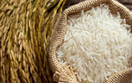 Giá gạo tăng, Senegal tìm nguồn cung gạo tấm ngoài Ấn Độ