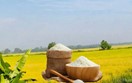 Chinh phục thị trường Nhật Bản: Cơ hội nâng cao giá trị gạo Việt