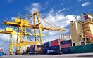 Xuất khẩu nông sản sang EU: Không phải lượng mà là chất