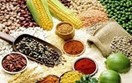 Danh sách các công ty Israel đầu mối nhập khẩu nông sản, thực phẩm chế biến các loại