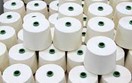 Doanh nghiệp Đài Loan tìm nhà cung cấp sợi cotton