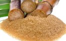 Quyết định áp dụng biện pháp chống bán phá giá sản phẩm đường mía từ Thái Lan 