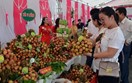 18/7/2025: Kết nối giao thương Lễ hội trái cây và rau củ Việt Nam tại Singapore 2025