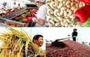 Kỳ vọng từ thị trường Halal với nông sản Việt
