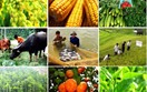 Doanh nghiệp xuất khẩu nông sản, thực phẩm sang Ba Lan cần lưu ý