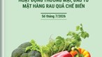 ​Phân tích và dự báo hoạt động thương mại, đầu tư mặt hàng rau quả chế biến - số tháng 7 năm 2026