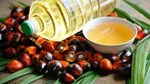 Thị trường ASEAN chiếm ưu thế trong nhập khẩu dầu thực vật của Việt Nam