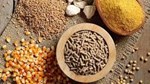 Trung Quốc và Đông Nam Á thúc đẩy làn sóng tăng trưởng xuất khẩu thức ăn chăn nuôi của Việt Nam