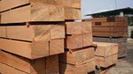 Xuất khẩu gỗ sang Hoa Kỳ sụt giảm, khối EU và Trung Quốc tăng trưởng bứt phá