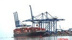 Tăng tỷ lệ tận dụng C/O CPTPP: Khuyến nghị từ chuyên gia