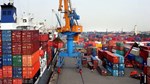Nhập khẩu hàng hóa từ Đức vào Việt Nam, tăng trưởng mạnh mẽ thời điểm giữa năm