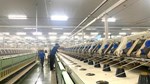 Doanh nghiệp dệt may tiết kiệm hàng trăm triệu nhờ quản trị sản xuất