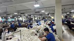Doanh nghiệp lưu ý tuân thủ ngưỡng PFAS trong xuất khẩu sang EU