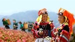 Phó Thủ tướng chỉ đạo đẩy nhanh tiến độ Chương trình mục tiêu quốc gia giai đoạn mới