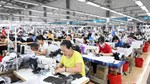 EVFTA và hàng Việt tại Bắc Âu: Hiệu quả thương mại trước sức ép tiêu chuẩn mới