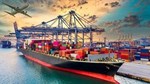 6 tháng đầu năm 2026: Nhập khẩu hàng hóa từ thị trường Anh tăng trưởng khá