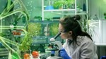 Phát triển công nghiệp sinh học, thay thế tối thiểu 50% sản phẩm nhập khẩu