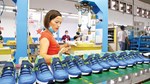 Mỹ áp thuế 12,5%: Doanh nghiệp xuất khẩu xoay trục để giữ lợi thế cạnh tranh
