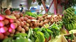Kim ngạch xuất khẩu rau quả sẽ còn nhiều cơ hội tăng trưởng trong những tháng cuối năm