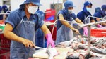 Sau giày dép, đến lượt ngành thủy sản kiến nghị gỡ khó cấp C/O