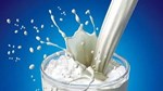 Xuất nhập khẩu sữa: Nhập khẩu giữ đà tăng, xuất khẩu bứt phá nhờ thị trường mới