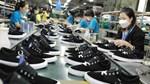 Xuất khẩu da giày 8 tháng năm 2026 đạt 19,54 tỷ USD, đà tăng trưởng tiếp tục cải thiện