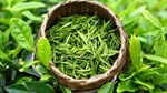 Xuất khẩu chè Việt Nam: Sụt giảm về lượng, bứt phá nhờ đòn bẩy giá